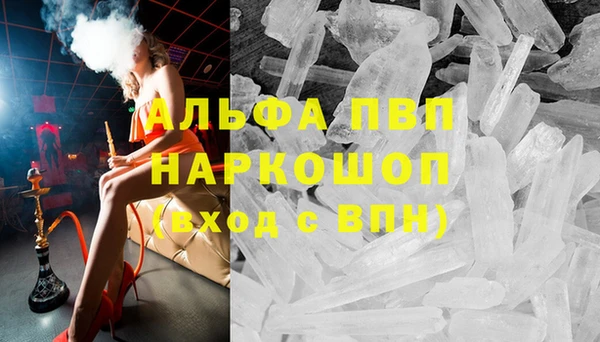 стаф Абаза