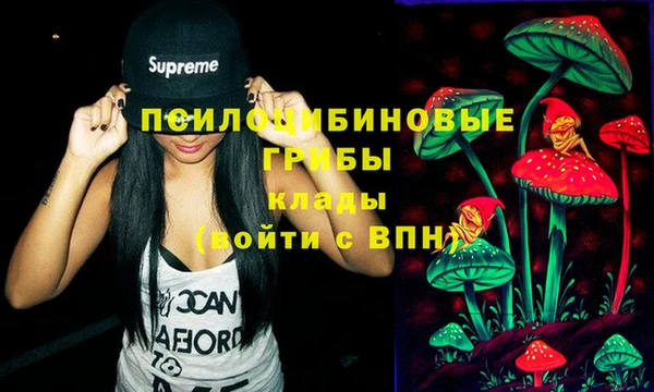 PSILOCYBIN Абинск