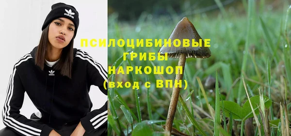 дмт Слюдянка