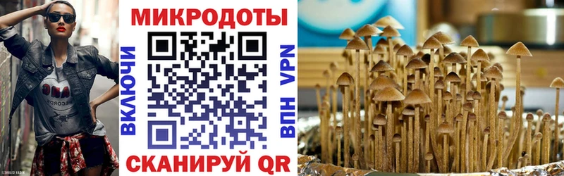 Псилоцибиновые грибы Psilocybe  Ишимбай 