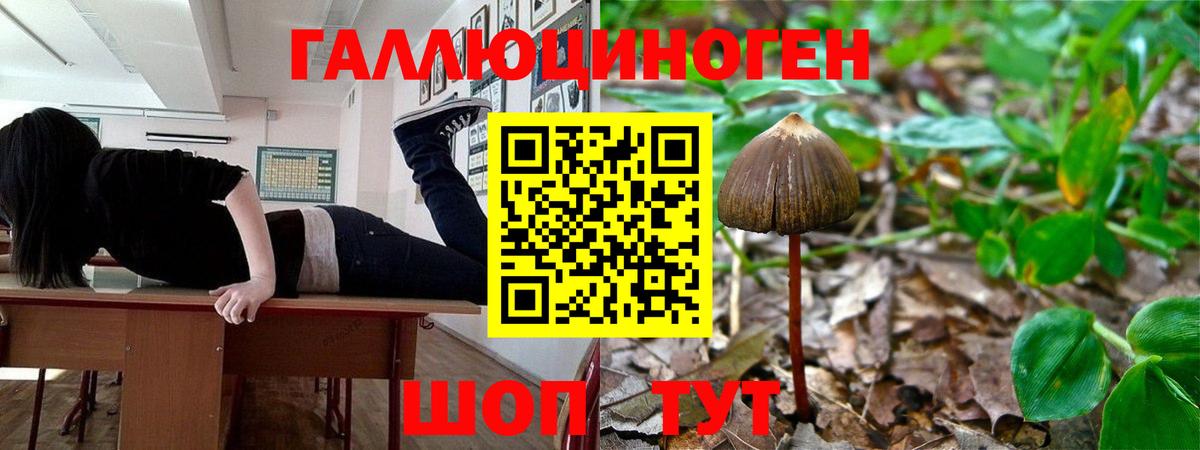 Галлюциногенные грибы Magic Shrooms  даркнет сайт  Ишимбай  Галлюциногенные грибы прущие грибы  Вход с VPN 